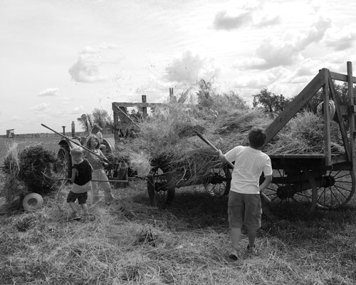 Kids working with Hay